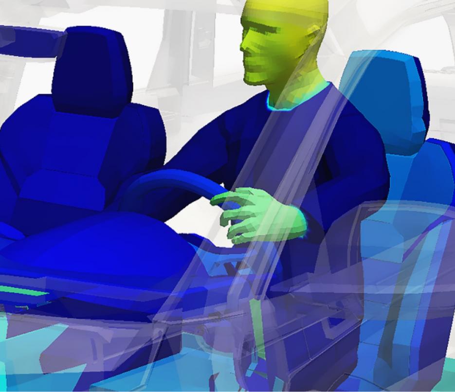 thermal simulation model of human in automotive cabin