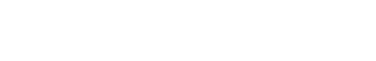 RapidFlow
