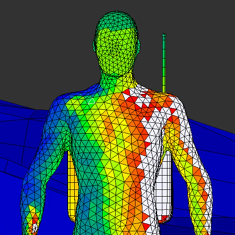 application-sample Thermal mesh model of a human torso showing surface temperature distribution.